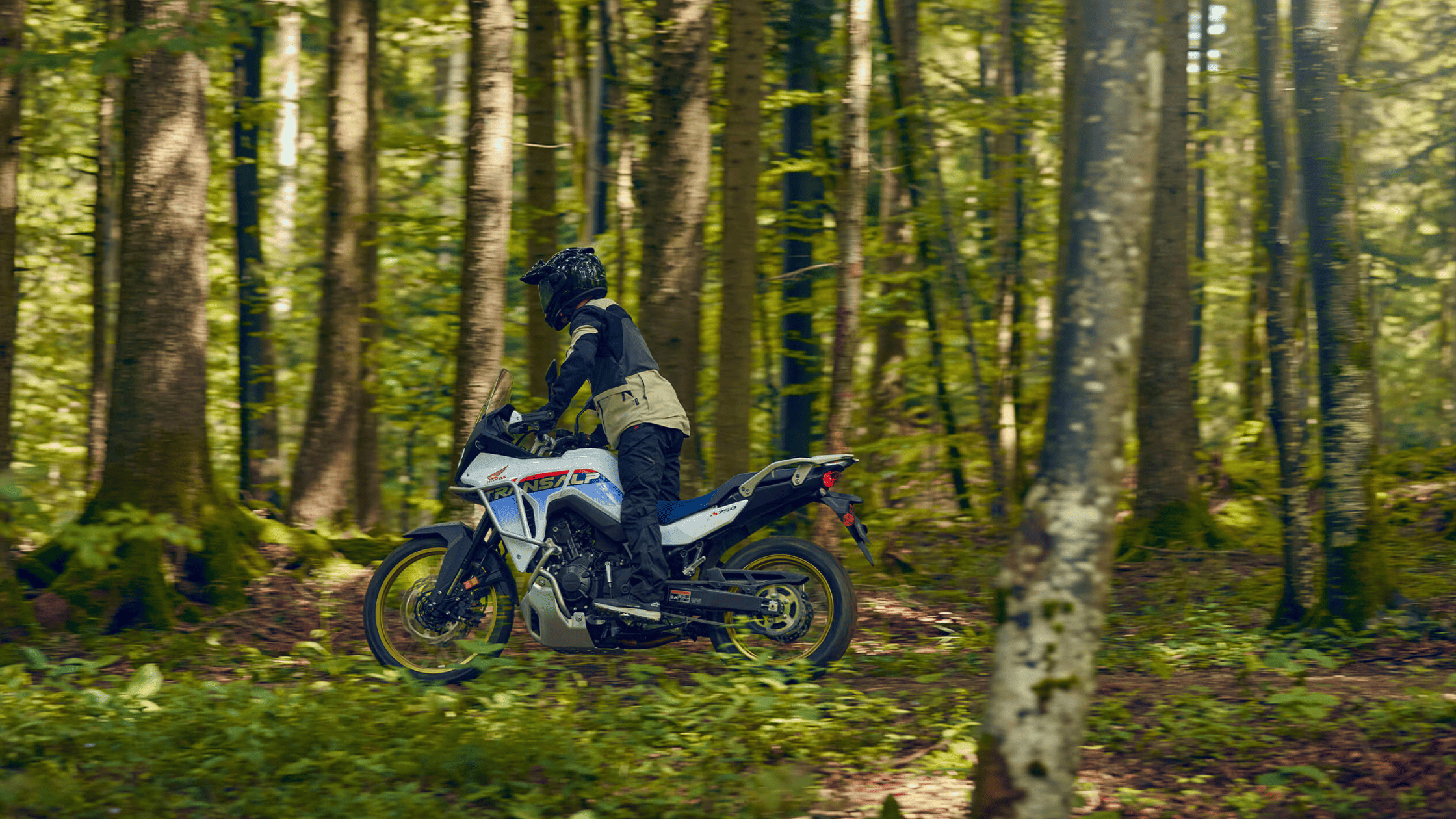 2024 Honda Transalp