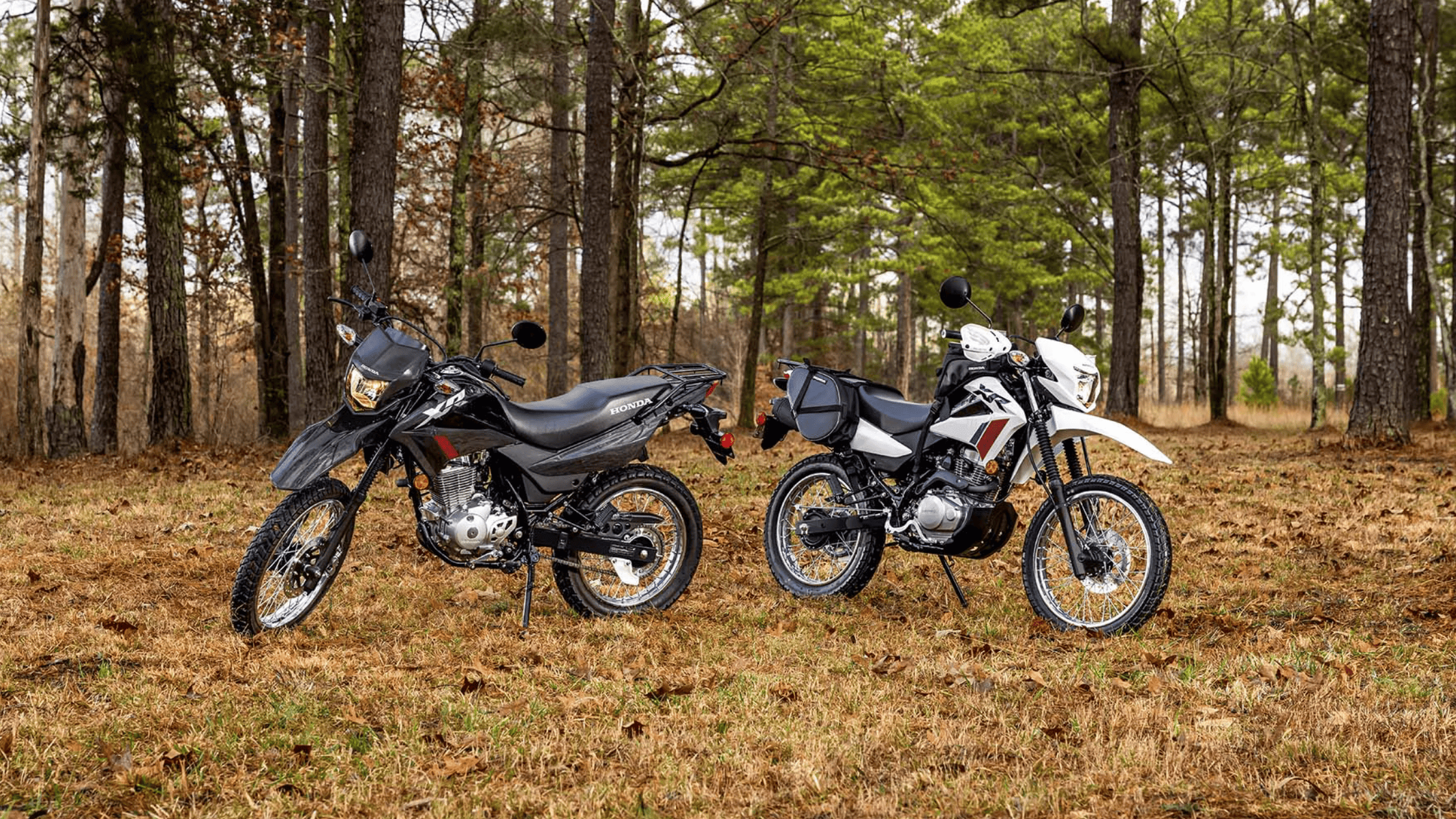 Black and white Honda XR150L motorcycles parked in forest clearing, exterior front view