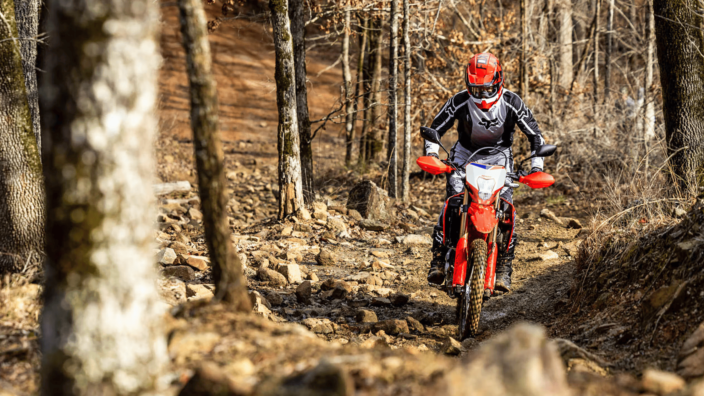 Rider on red Honda CRF300L ABS, rocky forest trail, front view exterior action shot