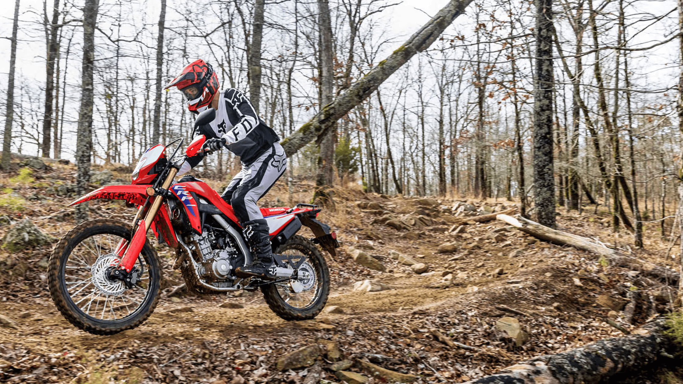 Side view of Honda CRF300L ABS in red, off-road dirt path, rider in black gear