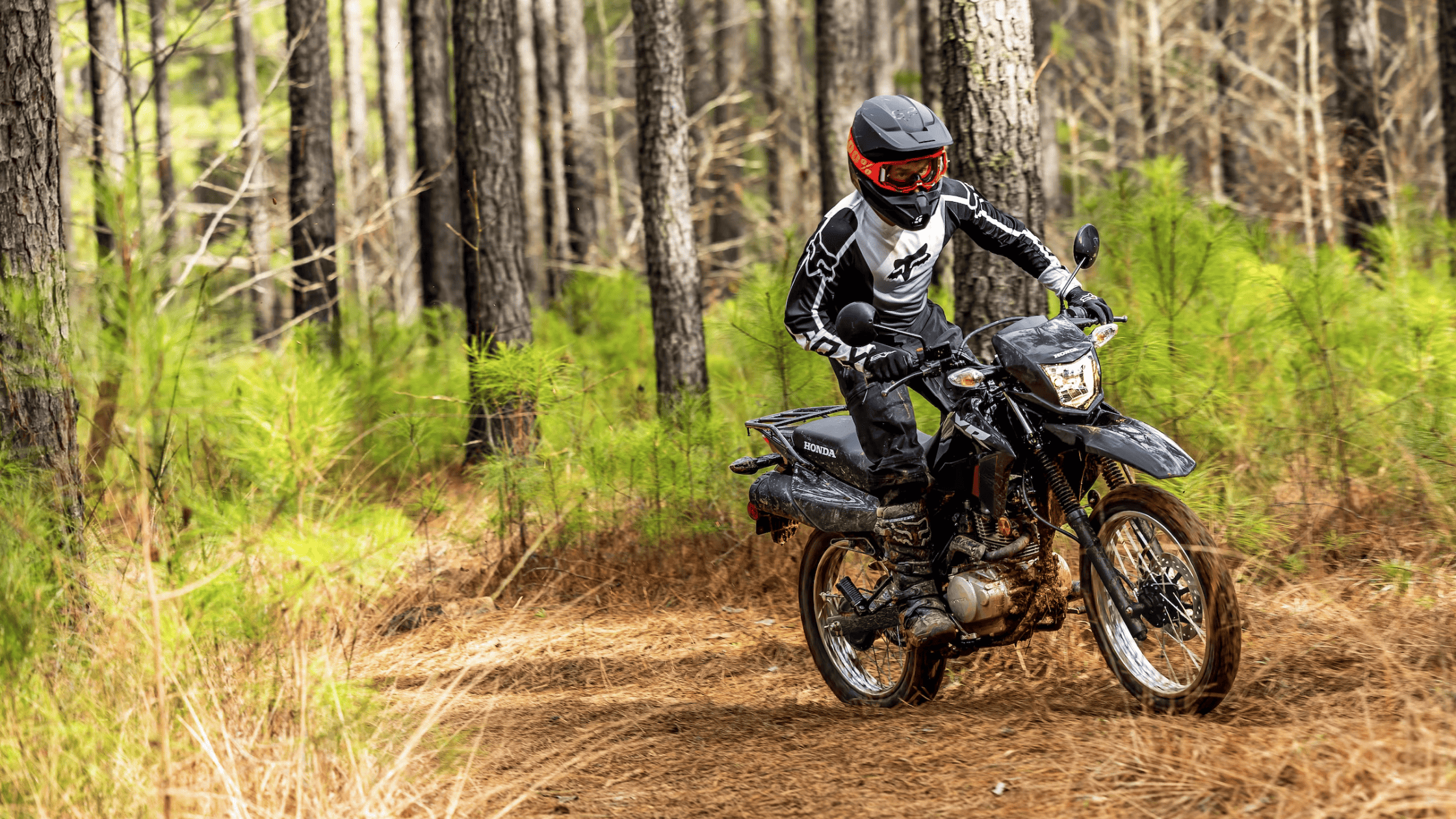 Rider on black Honda XR150L navigating dirt trail, exterior forest setting, front view